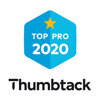 Thumbtack professional 2020
